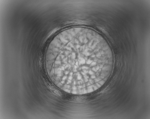 X0000063471163200602101733