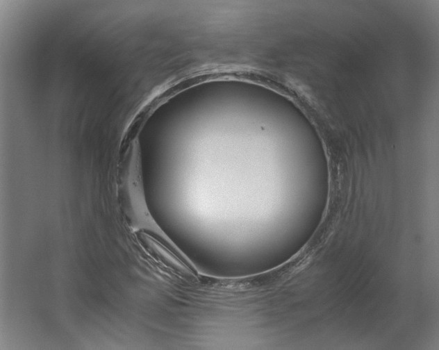 X0000063471165200602101733