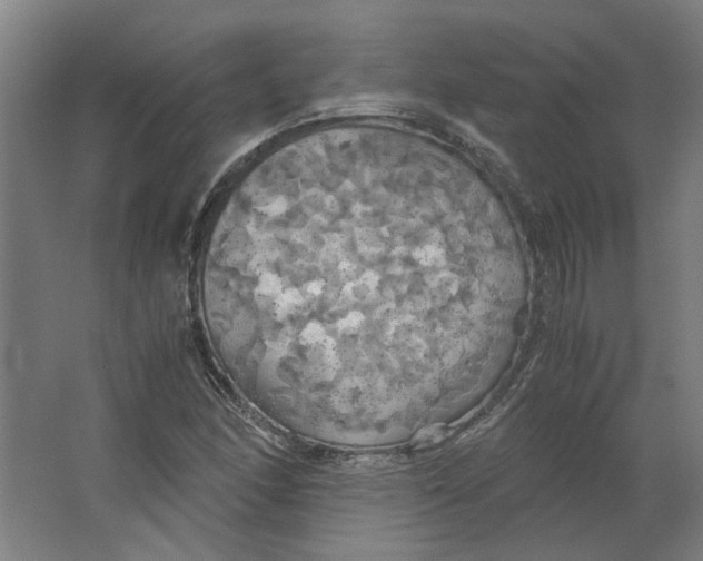 X0000063471166200602101733