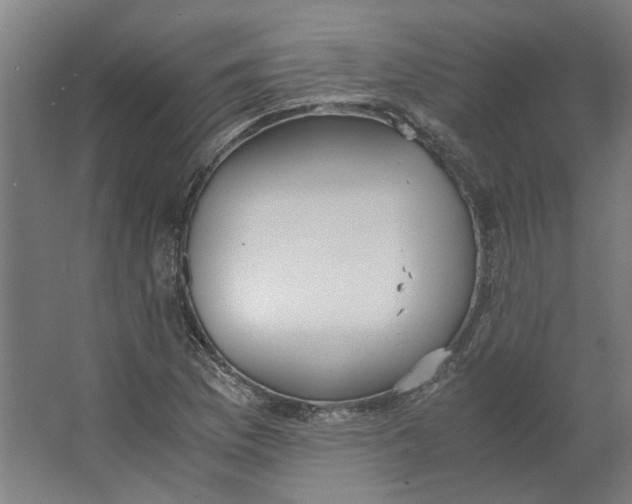 X0000063471169200602101733