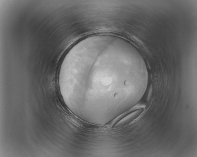 X0000063471170200602101733