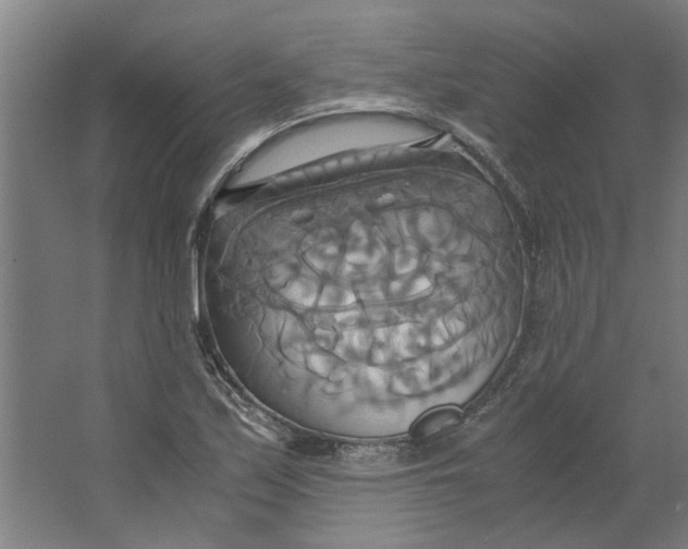 X0000063471171200602101733