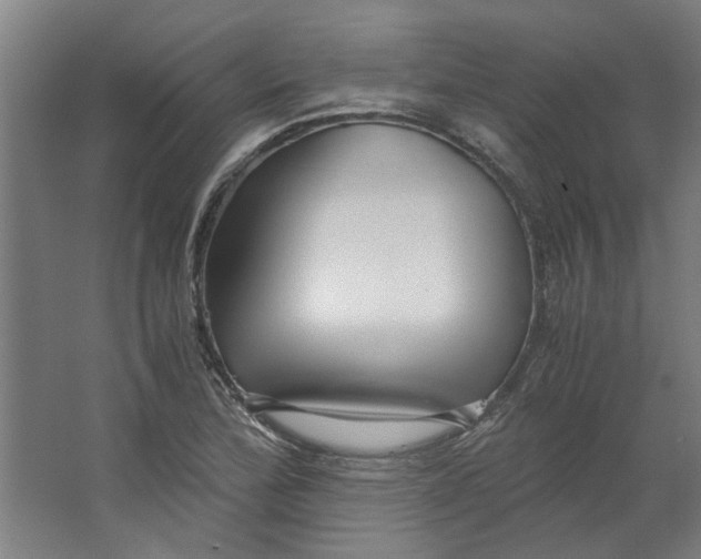 X0000063471172200602101733