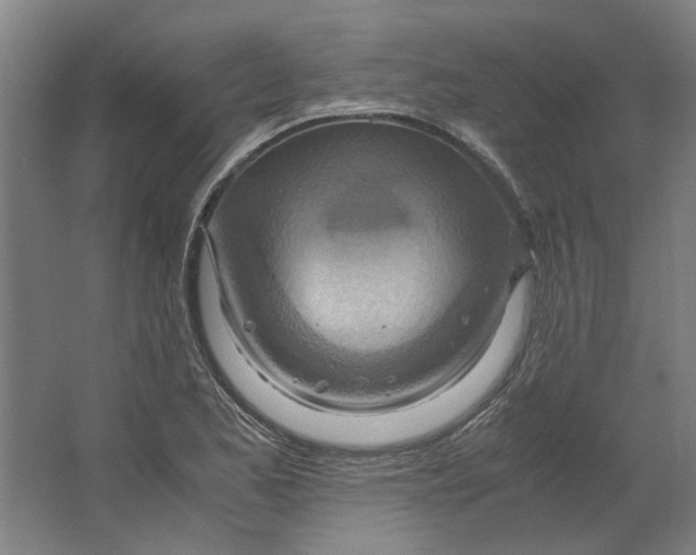 X0000063471173200602101733