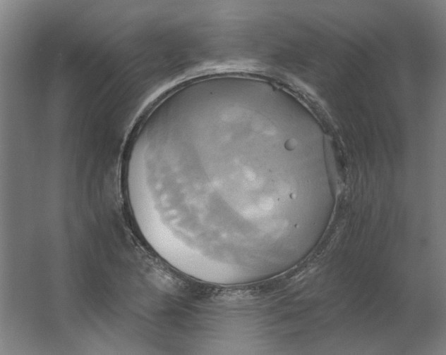 X0000063471174200602101733