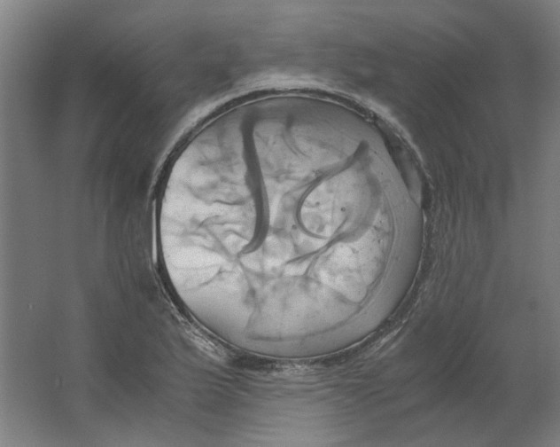 X0000063471175200602101733