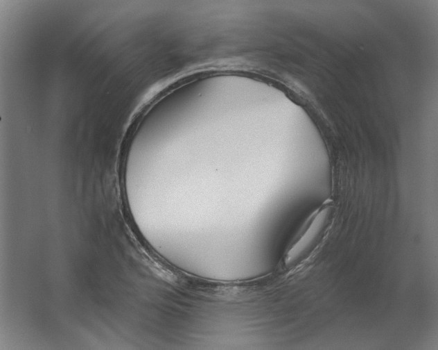 X0000063471176200602101733