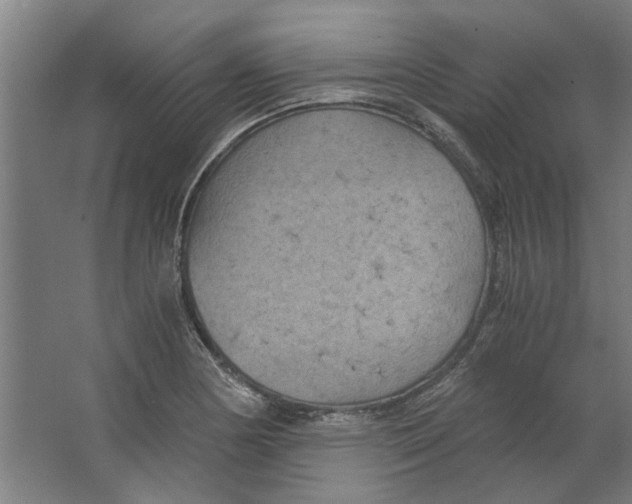 X0000063471178200602101733