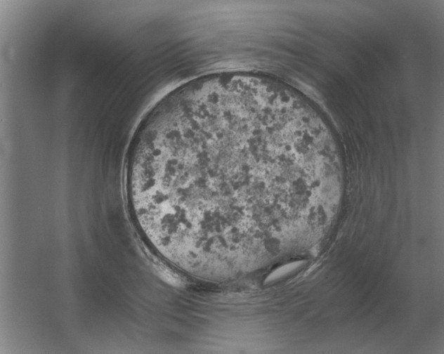 X0000063471179200602101733