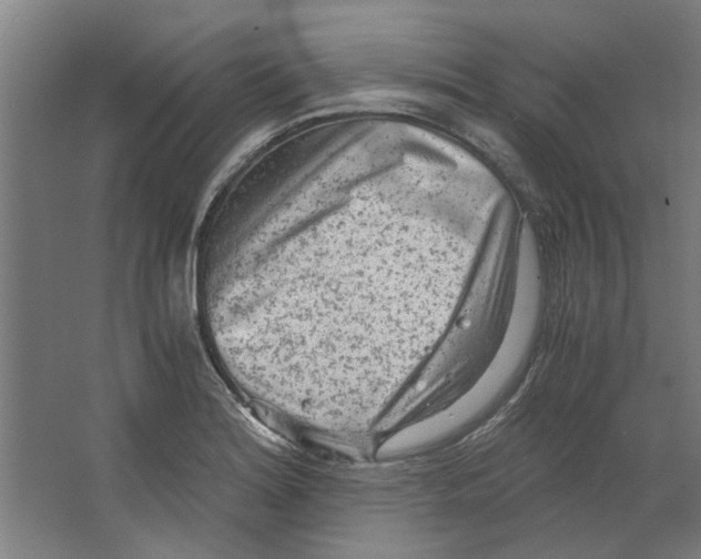 X0000063471180200602101732