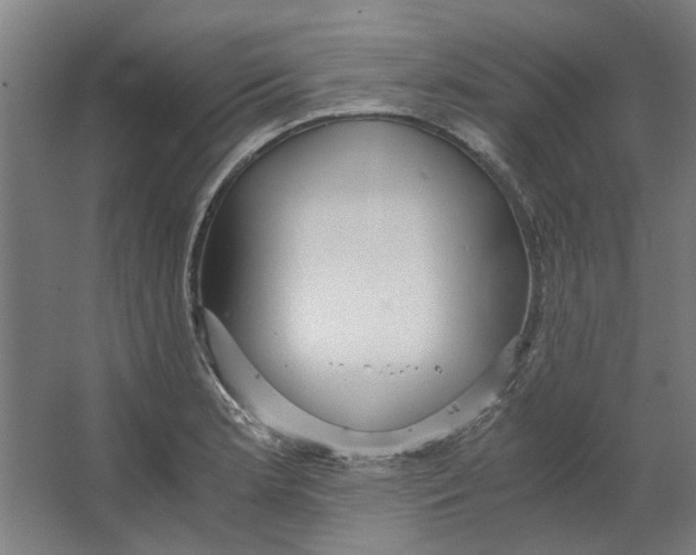 X0000063471181200602101732