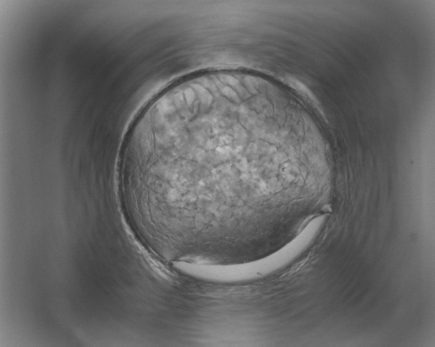 X0000063471183200602101732