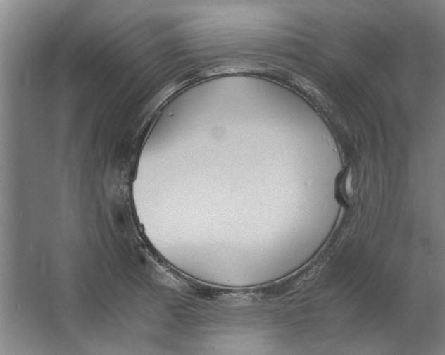 X0000063471185200602101732