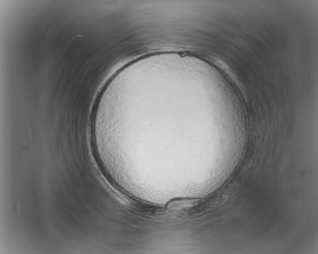 X0000063471187200602101732