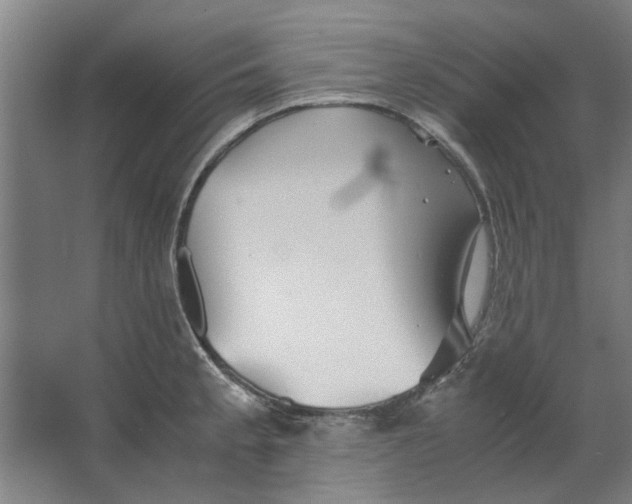 X0000063471189200602101732