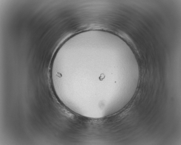 X0000063471190200602101732