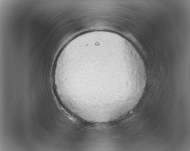 X0000063471191200602101732