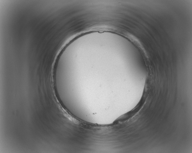 X0000063471192200602101732