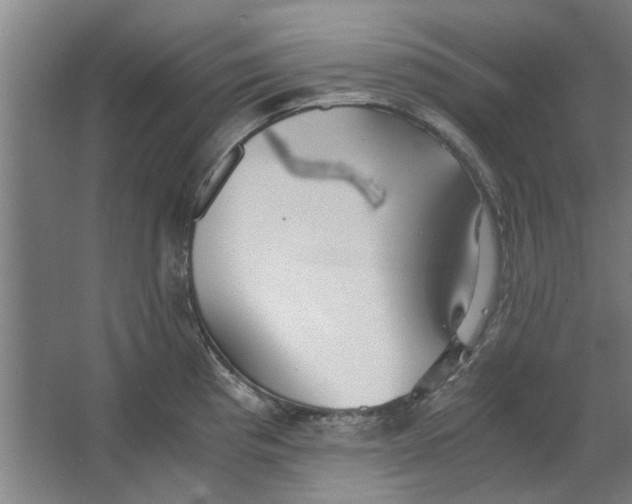 X0000063471193200602101732