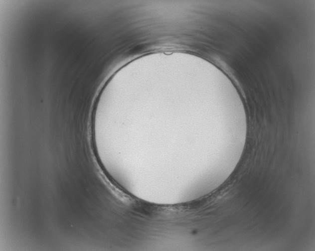 X0000063471195200602101732