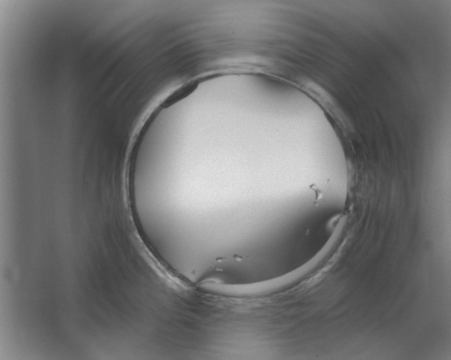 X0000063471196200602101732