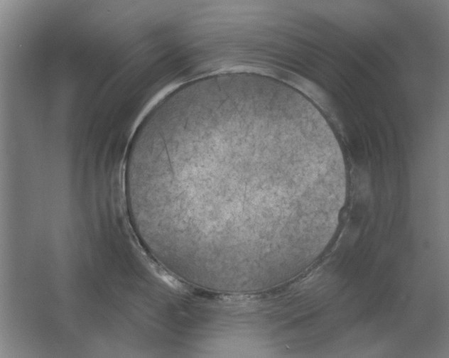 X0000063471198200602101732