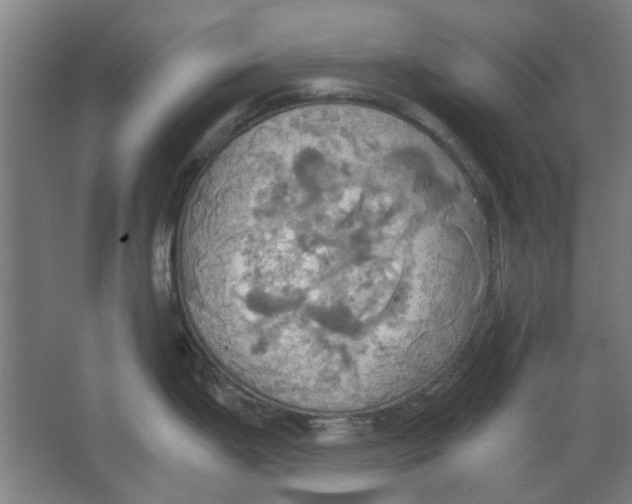 X0000063471199200602101732