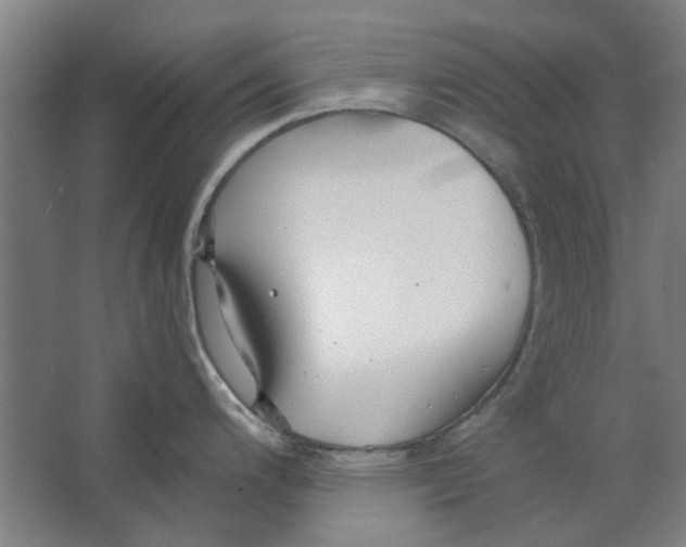 X0000063471200200602101732