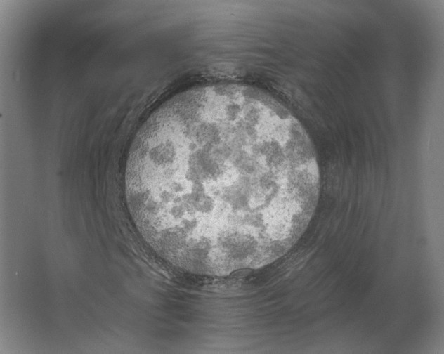 X0000063471201200602101731