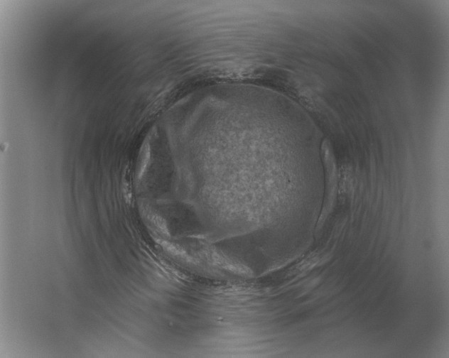 X0000063471202200602101731