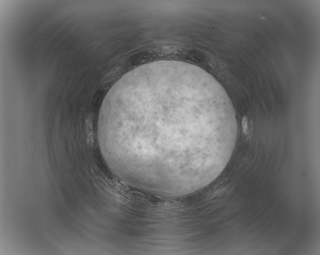 X0000063471203200602101731