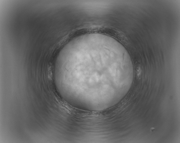 X0000063471204200602101731