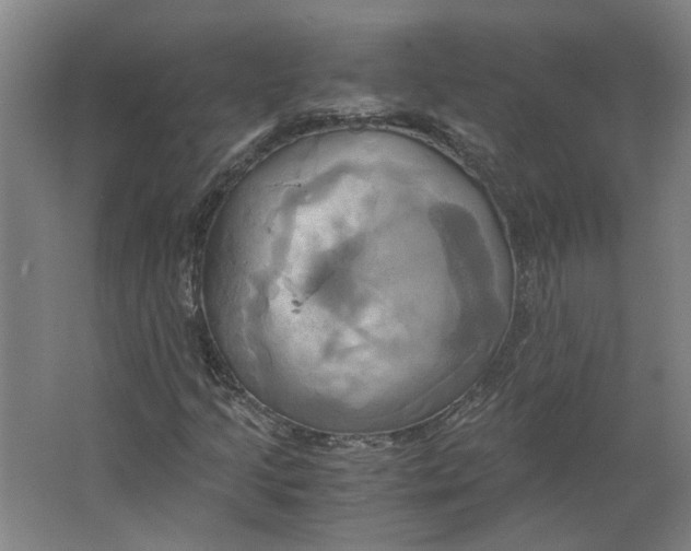 X0000063471205200602101731