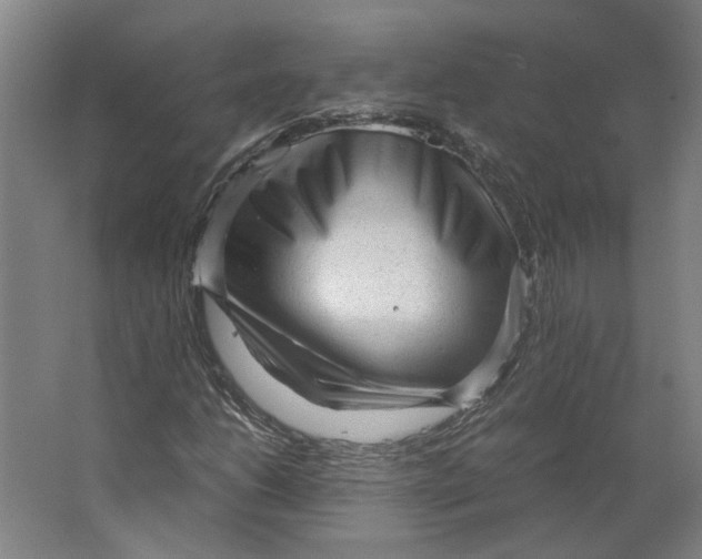 X0000063471206200602101731