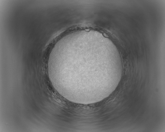 X0000063471207200602101731