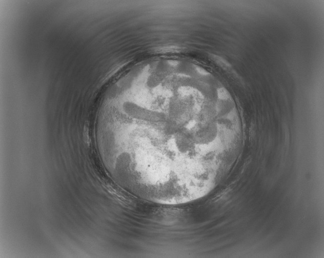 X0000063471209200602101731