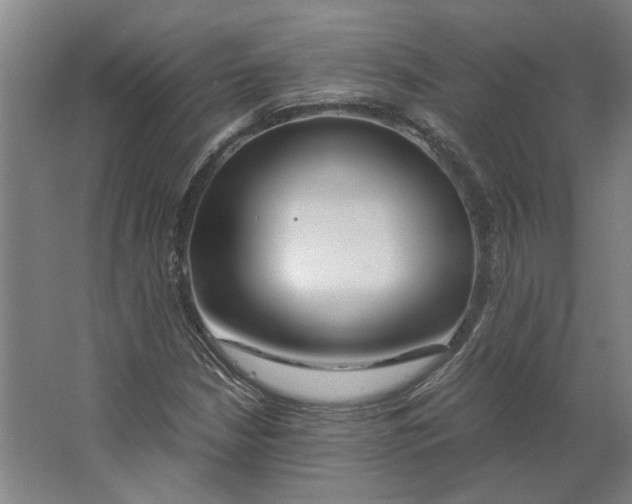 X0000063471210200602101731