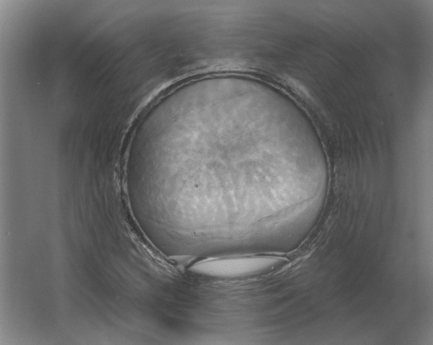 X0000063471212200602101732