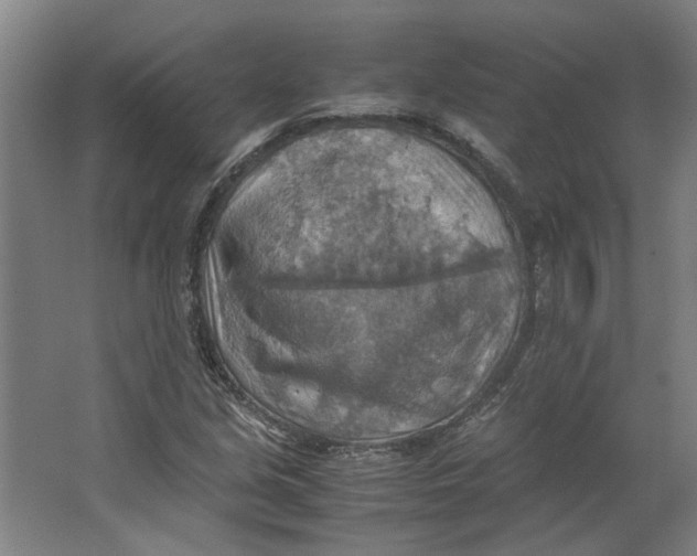 X0000063471213200602101732