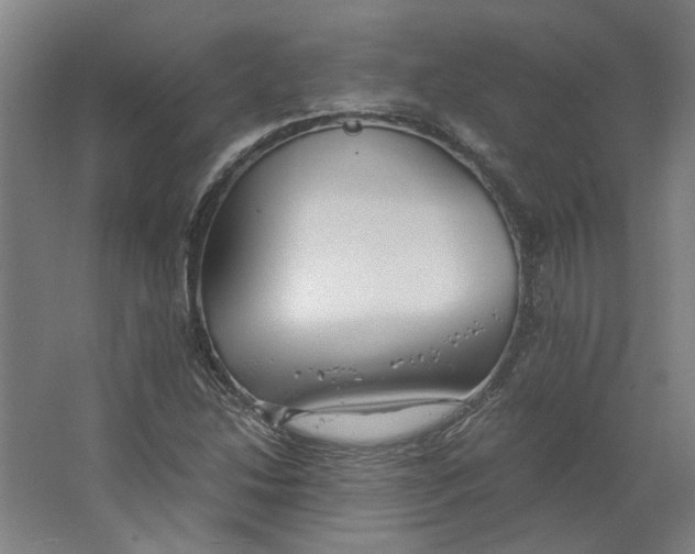 X0000063471214200602101732