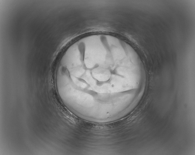 X0000063471215200602101732