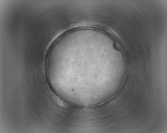 X0000063471216200602101732