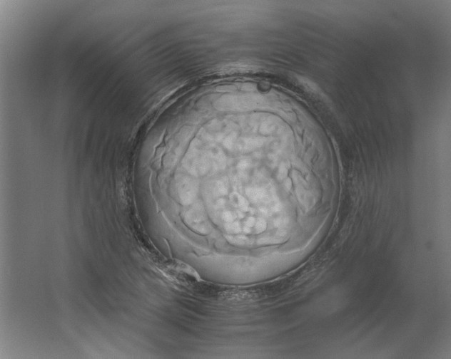 X0000063471217200602101732