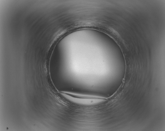 X0000063471218200602101732