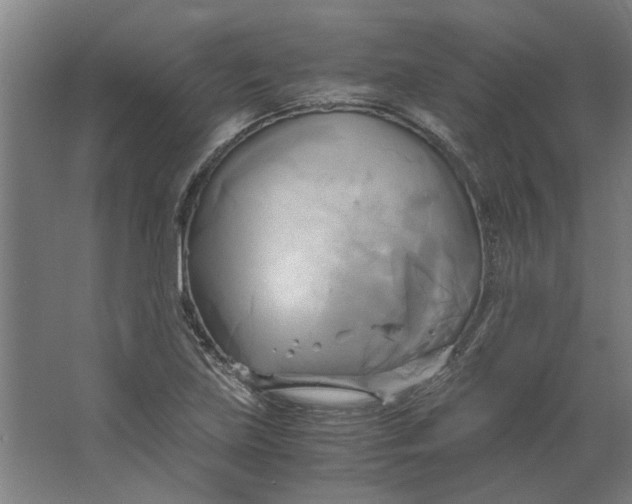 X0000063471219200602101732