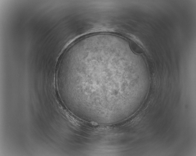 X0000063471220200602101732