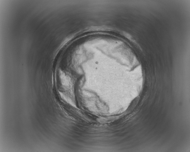 X0000063471221200602101732