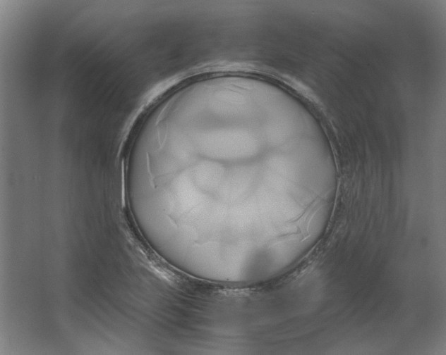 X0000063471223200602101732