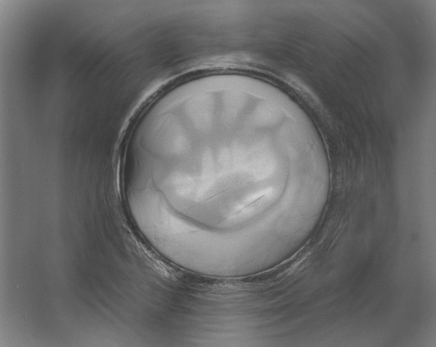 X0000063471224200602101732