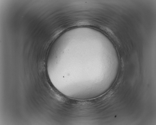 X0000063471225200602101732